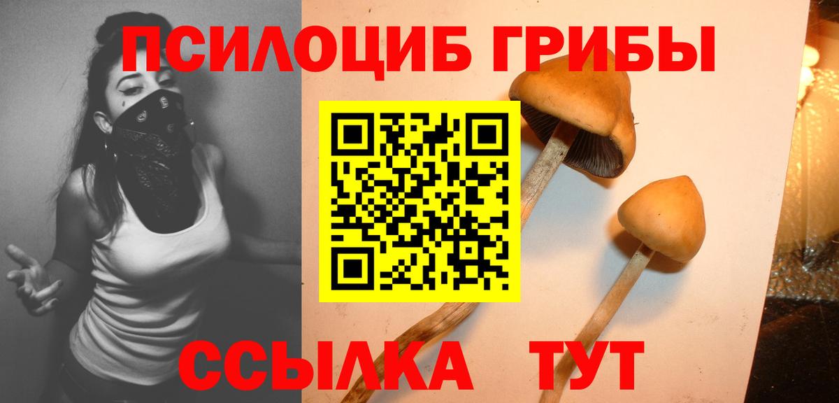 Камышин  как найти закладки  Вход с VPN  Псилоцибиновые грибы мицелий  Галлюциногенные грибы GOLDEN TEACHER 