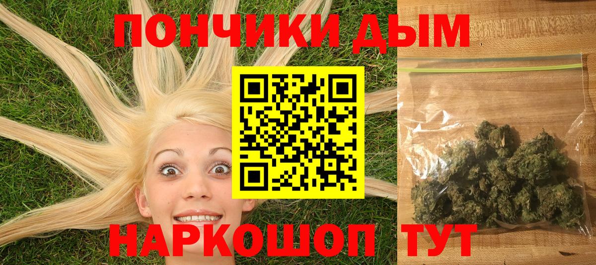 Бошки Шишки марихуана Камышин